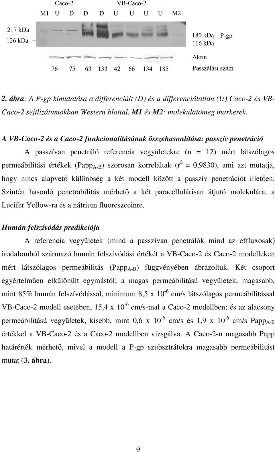 korreláltak (r 2 = 0,9830), ami azt mutatja, hogy nincs alapvet különbség a két modell között a passzív penetrációt illeten.