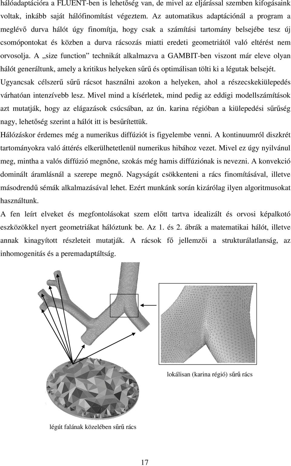 eltérést nem orvosolja. A size function technikát alkalmazva a GAMBIT-ben viszont már eleve olyan hálót generáltunk, amely a kritikus helyeken sr és optimálisan tölti ki a légutak belsejét.