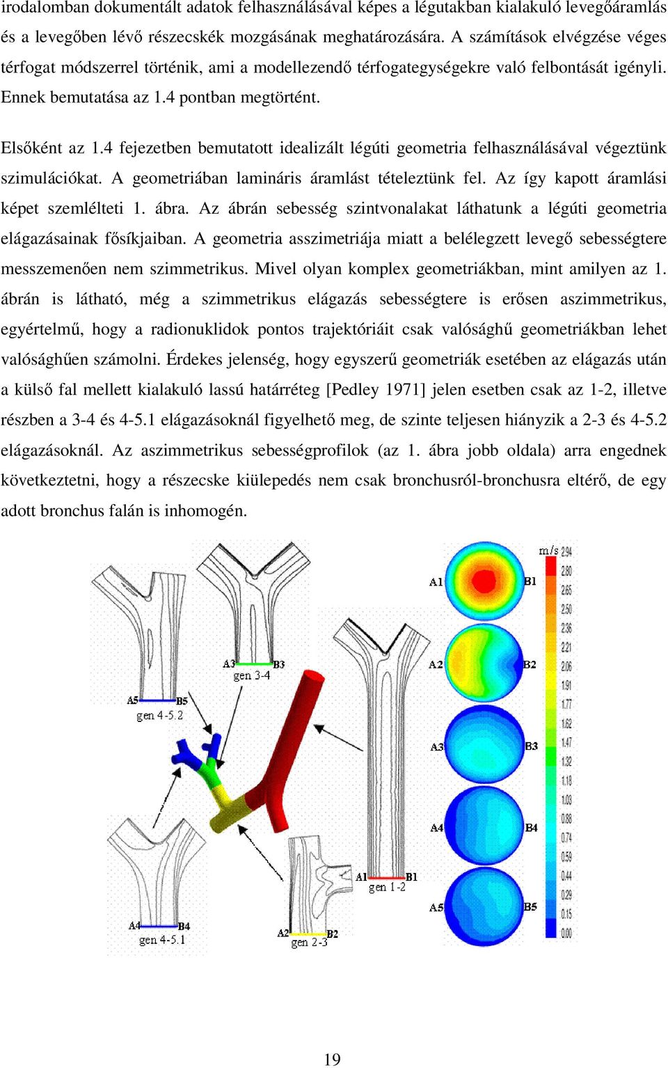 4 fejezetben bemutatott idealizált légúti geometria felhasználásával végeztünk szimulációkat. A geometriában lamináris áramlást tételeztünk fel. Az így kapott áramlási képet szemlélteti 1. ábra.