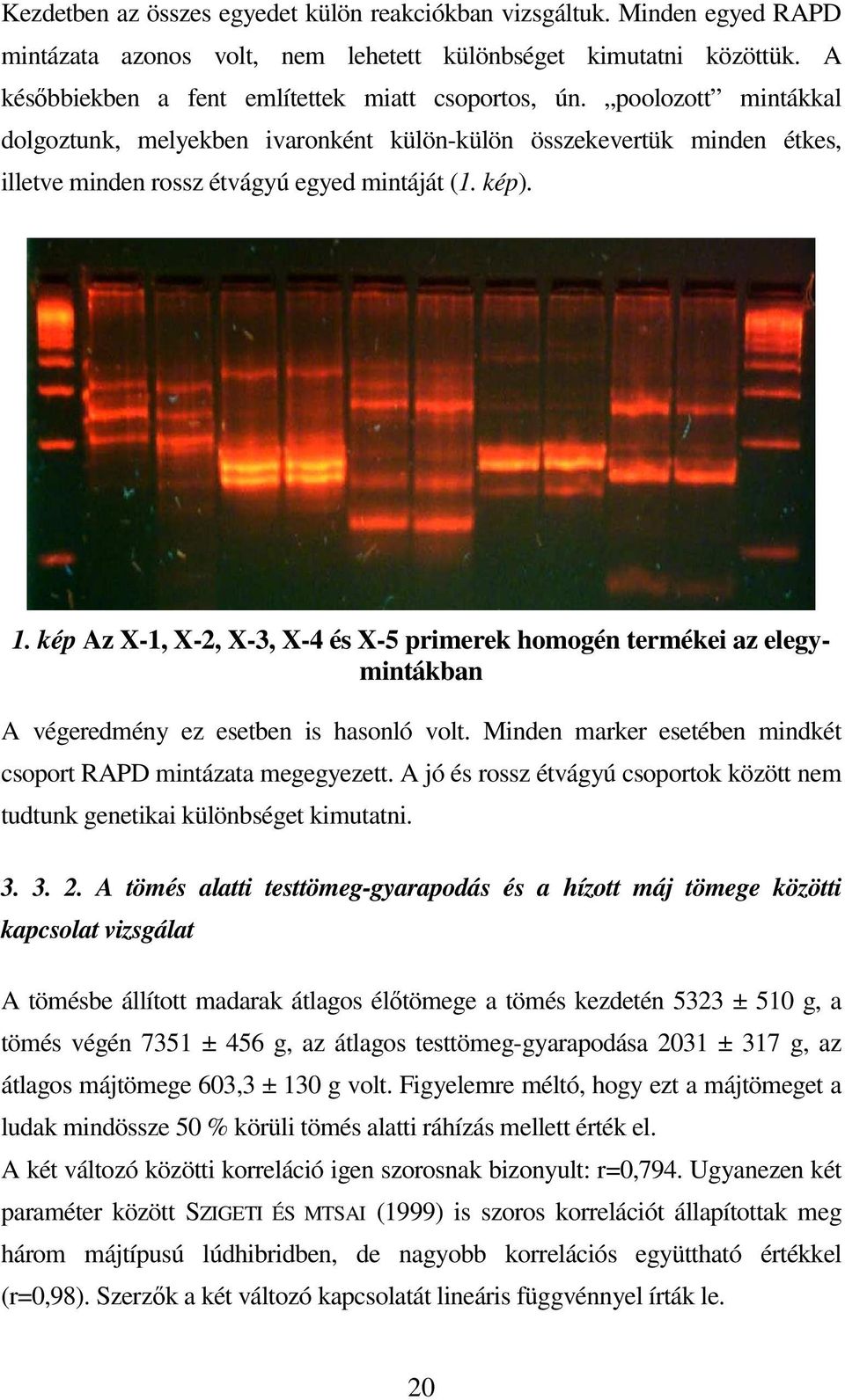 kép Az X-1, X-2, X-3, X-4 és X-5 primerek homogén termékei az elegymintákban A végeredmény ez esetben is hasonló volt. Minden marker esetében mindkét csoport RAPD mintázata megegyezett.