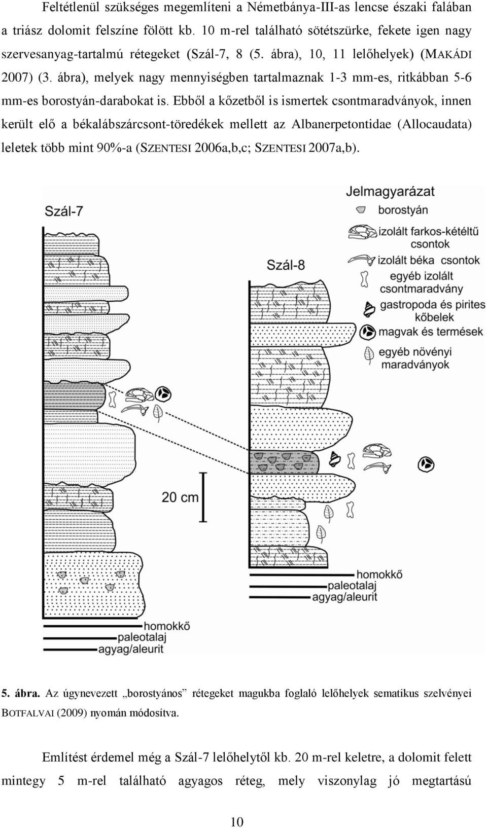 ábra), melyek nagy mennyiségben tartalmaznak 1-3 mm-es, ritkábban 5-6 mm-es borostyán-darabokat is.