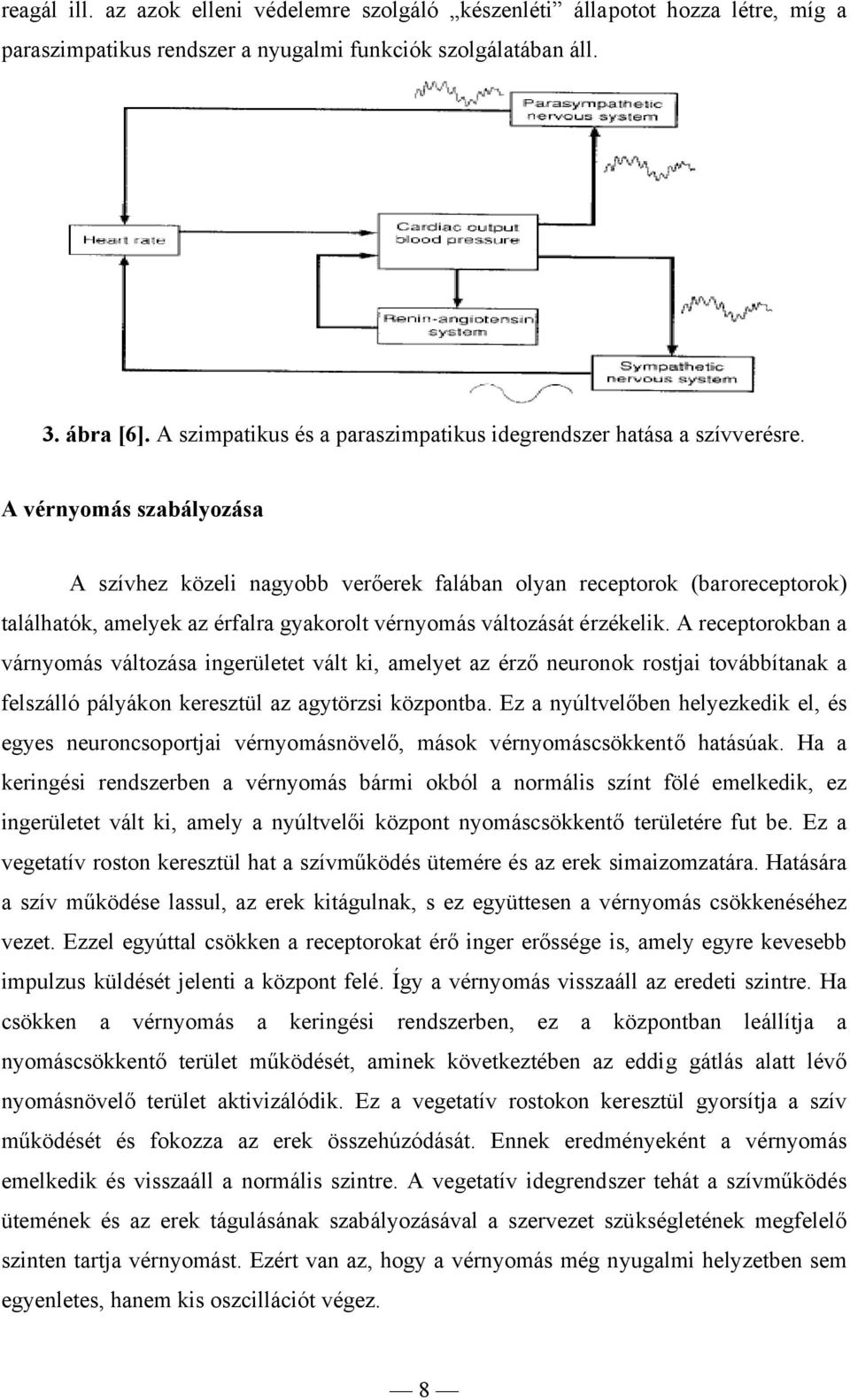 A vérnyomás szabályozása A szívhez közeli nagyobb verőerek falában olyan receptorok (baroreceptorok) találhatók, amelyek az érfalra gyakorolt vérnyomás változását érzékelik.