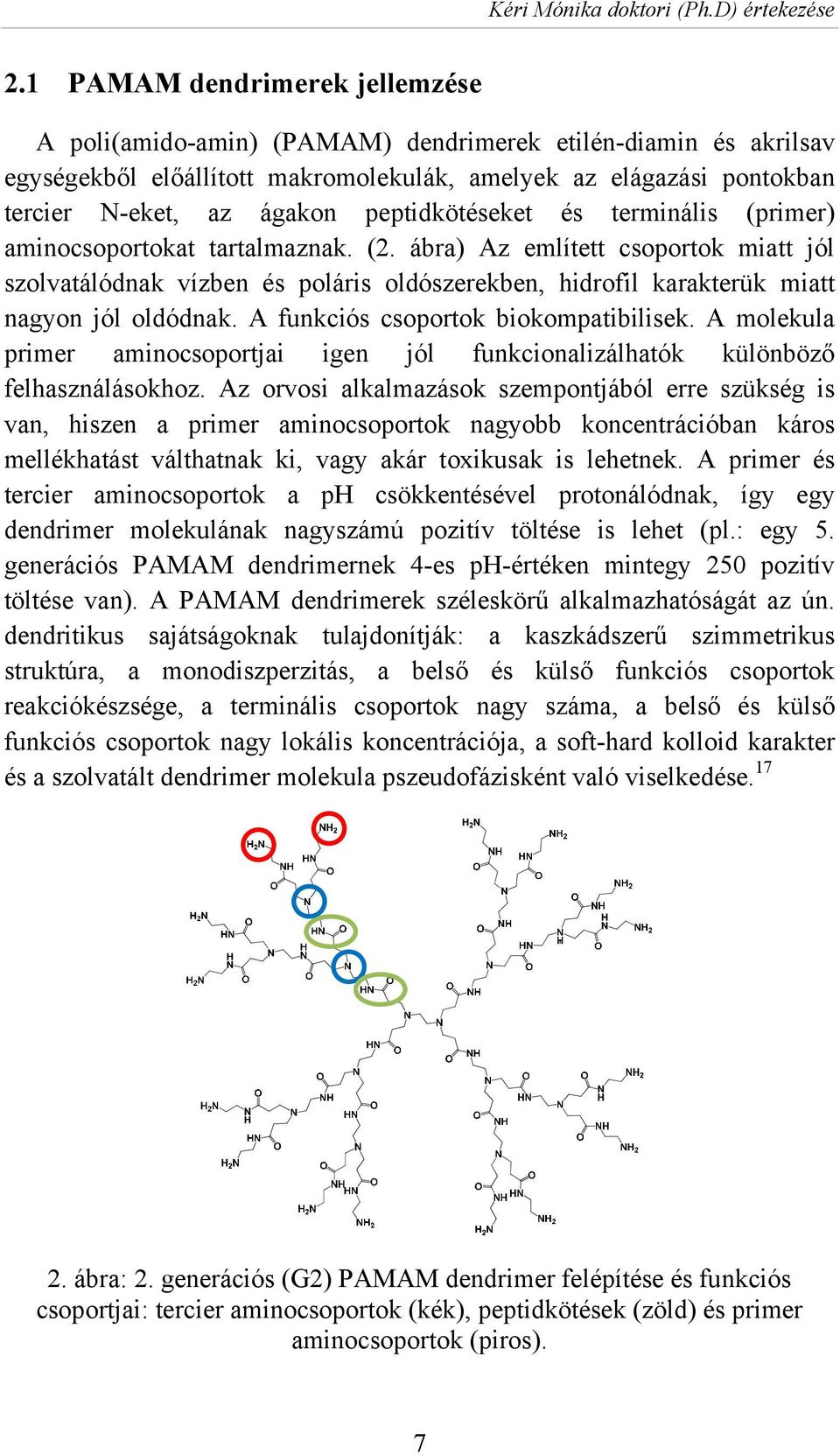 peptidkötéseket és terminális (primer) aminocsoportokat tartalmaznak. (2.