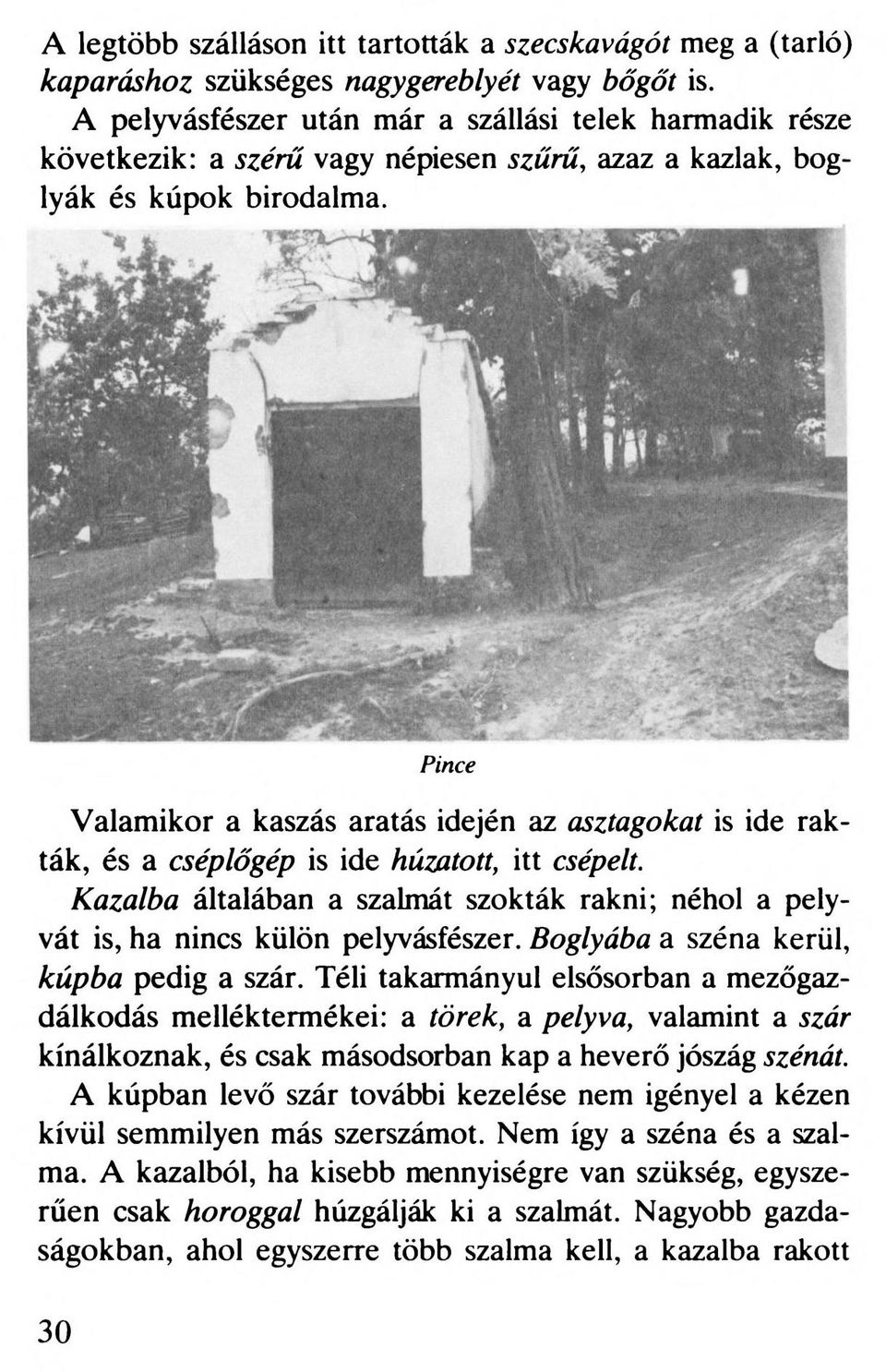 Pince Valamikor a kaszás aratás idején az osztagokat is ide rakták, és a cséplőgép is ide húzatott, itt csépelt.