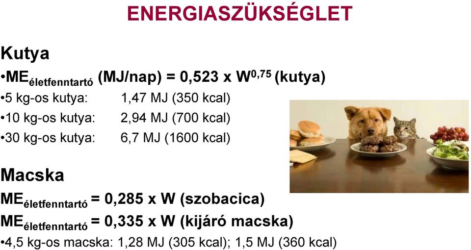 kutya: 6,7 MJ (1600 kcal) Macska ME életfenntartó = 0,285 x W (szobacica) ME