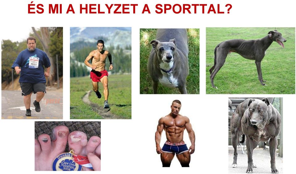 SPORTTAL?