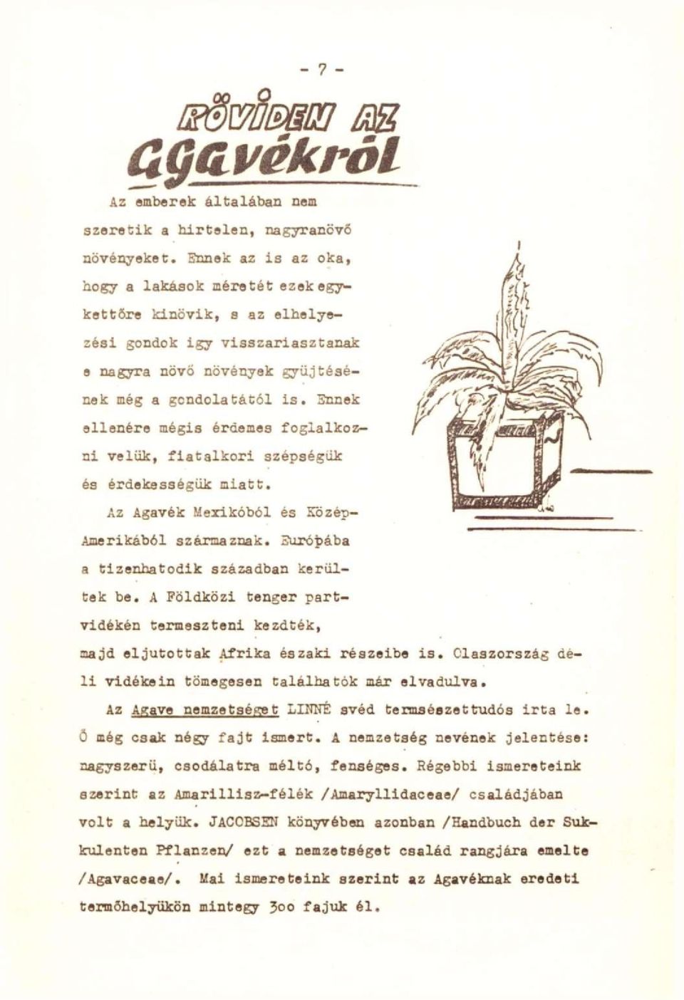 3nnek ellenére mégis érdemes foglalkozni velük, fiatalkori szépségük és érdekességük miatt. Az Agavék Mexikóból és Tözép- Amerikából származnak. Suróbába a tizenhatodik században kerültek be.