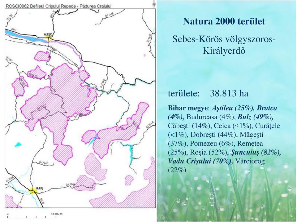 Căbeşti (14%), Ceica (<1%), Curăţele (<1%), Dobreşti (44%), Măgeşti (37%),