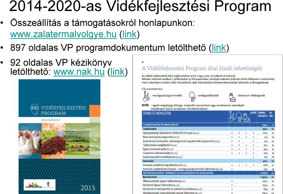 hu (link) 897 oldalas VP programdokumentum letölthető