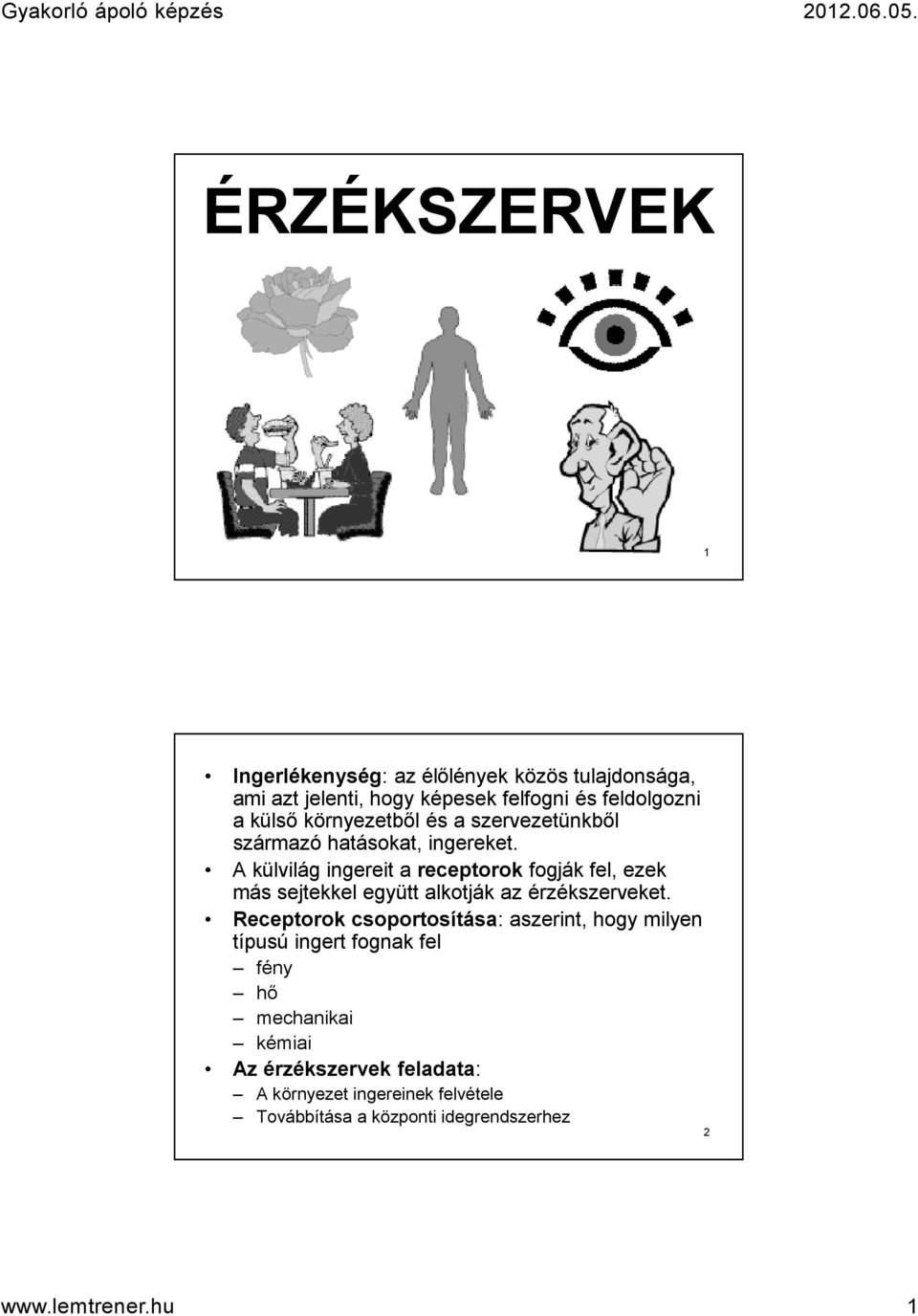 A külvilág ingereit a receptorok fogják fel, ezek más sejtekkel együtt alkotják az érzékszerveket.