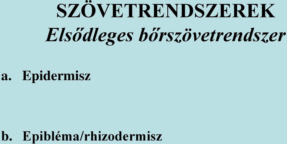 bőrszövetrendszer a.