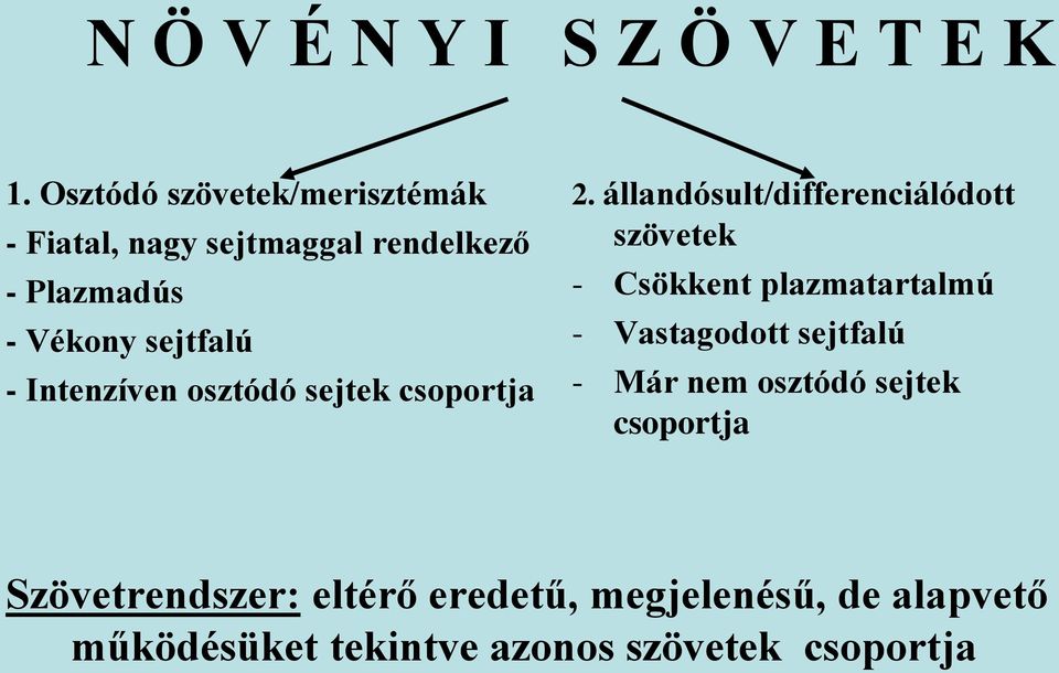 Intenzíven osztódó sejtek csoportja 2.