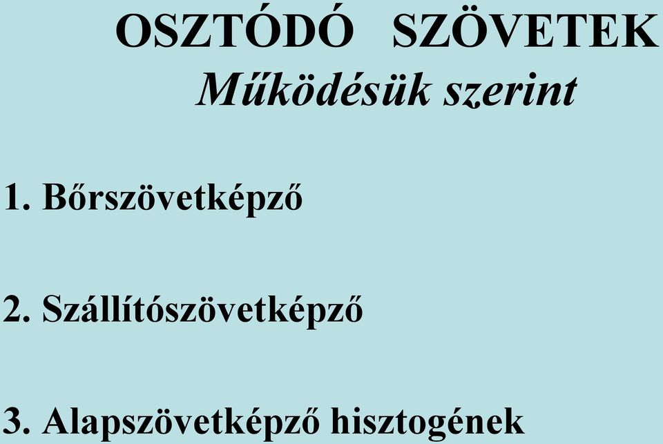 Bőrszövetképző 2.