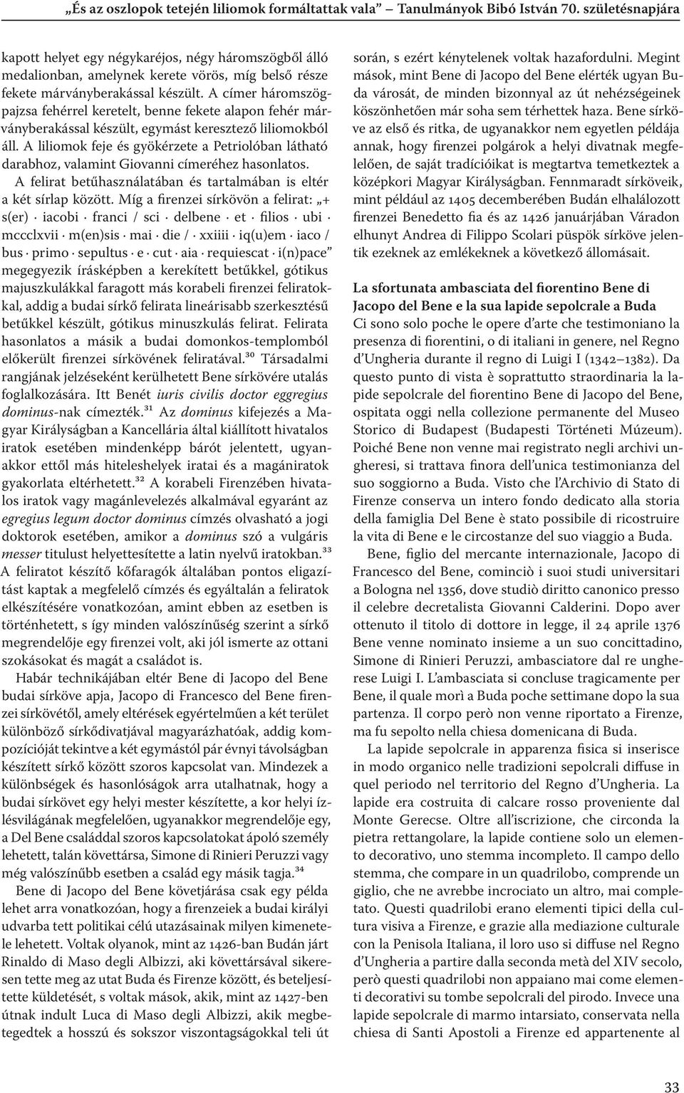 A címer háromszögpajzsa fehérrel keretelt, benne fekete alapon fehér márványberakással készült, egymást keresztező liliomokból áll.