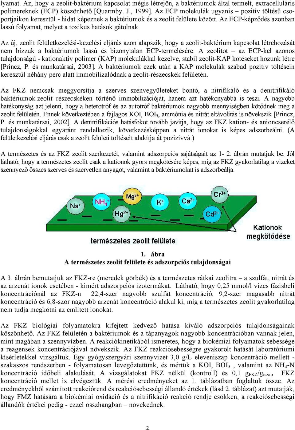 Az új, zeolit felületkezelési-kezelési eljárás azon alapszik, hogy a zeolit-baktérium kapcsolat létrehozását nem bízzuk a baktériumok lassú és bizonytalan ECP-termelésére.