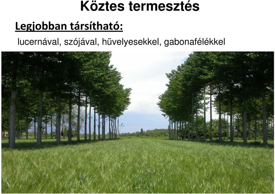 lucernával, szójával,