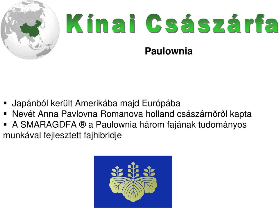 császárnőről kapta A SMARAGDFA a Paulownia