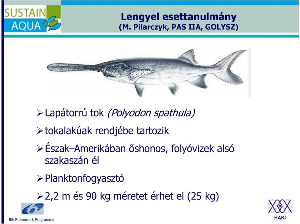 spathula) tokalakúak rendjébe tartozik Észak