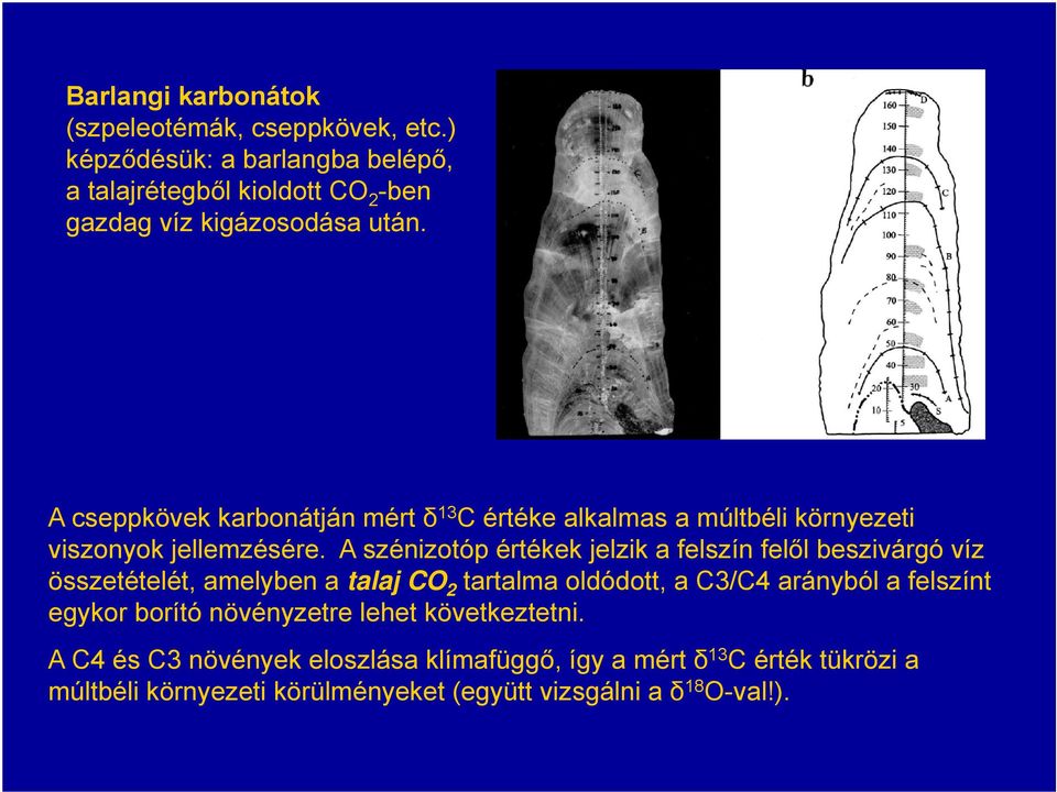 A cseppkövek karbonátján mért δ 13 C értéke alkalmas a múltbéli környezeti viszonyok jellemzésére.