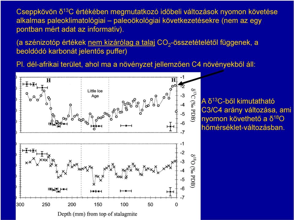 (a szénizotóp értékek nem kizárólag a talaj CO 2 -összetételétől függenek, a beoldódó karbonát jelentős puffer) Pl.