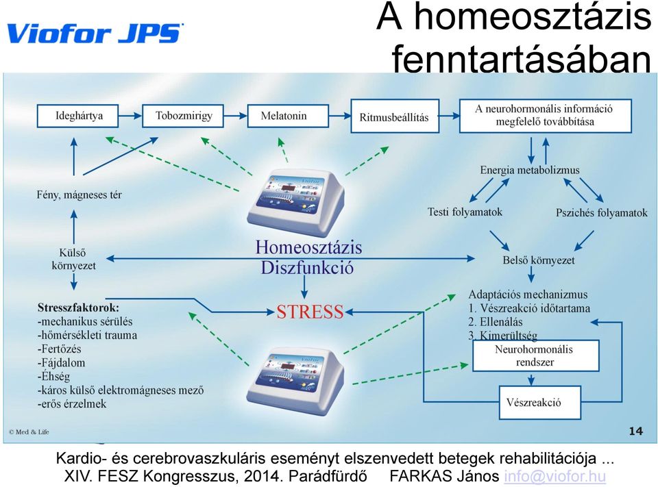cerebrovaszkuláris