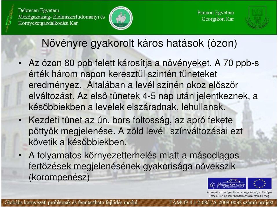 Az elsı tünetek 4-5 nap után jelentkeznek, a késıbbiekben a levelek elszáradnak, lehullanak. Kezdeti tünet az ún.