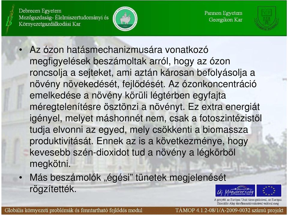 Ez extra energiát igényel, melyet máshonnét nem, csak a fotoszintézistıl tudja elvonni az egyed, mely csökkenti a biomassza produktivitását.