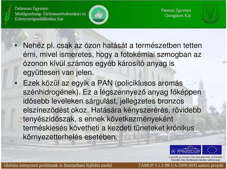 károsító anyag is együttesen van jelen. Ezek közül az egyik a PAN (policiklusos aromás szénhidrogének).