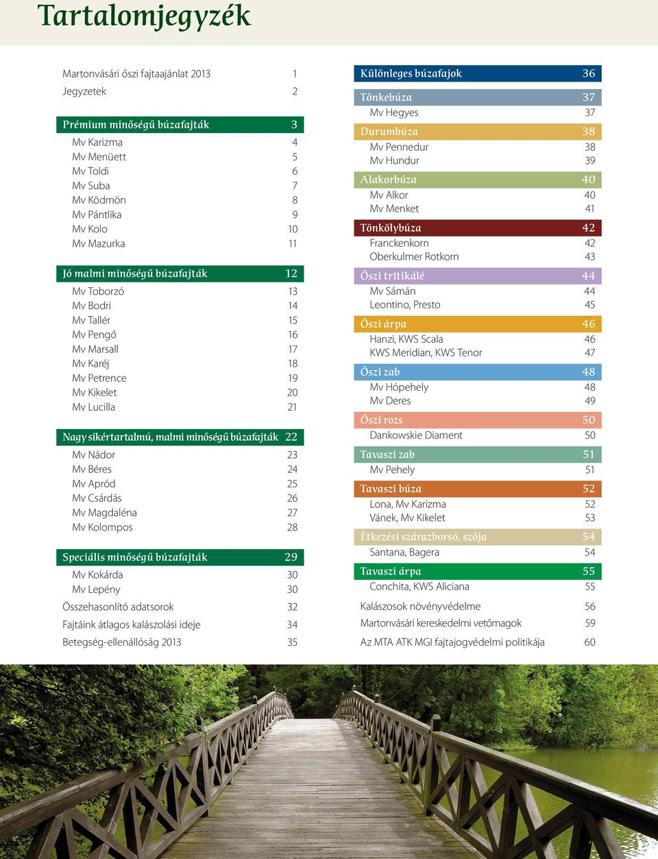 Mv Nádor 23 Mv Béres 24 Mv Apród 25 Mv Csárdás 26 Mv Magdaléna 27 Mv Kolompos 28 Speciális minőségű búzafajták 29 Mv Kokárda 30 Mv Lepény 30 Összehasonlító adatsorok 32 Fajtáink átlagos kalászolási