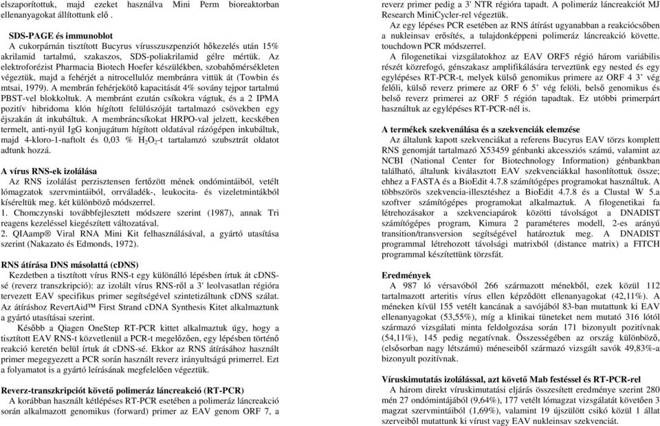 Az elektroforézist Pharmacia Biotech Hoefer készülékben, szobahőmérsékleten végeztük, majd a fehérjét a nitrocellulóz membránra vittük át (Towbin és mtsai, 1979).