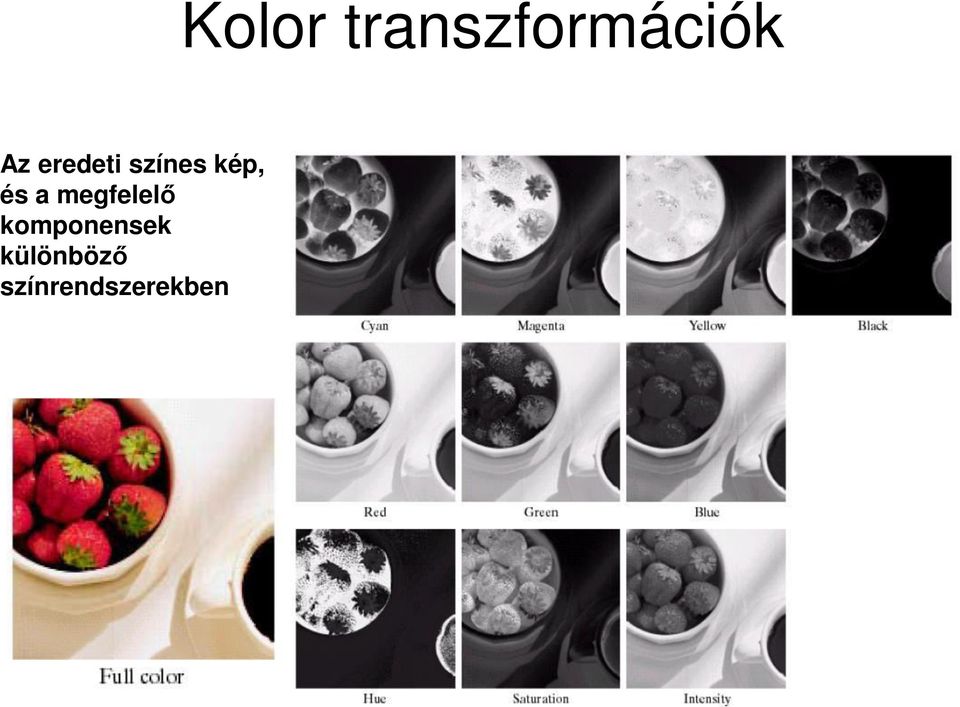 komponensek különböző