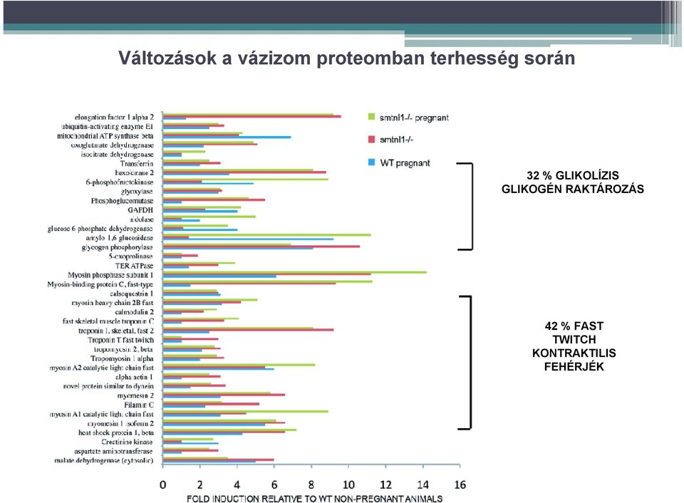 % GLIKOLÍZIS GLIKOGÉN