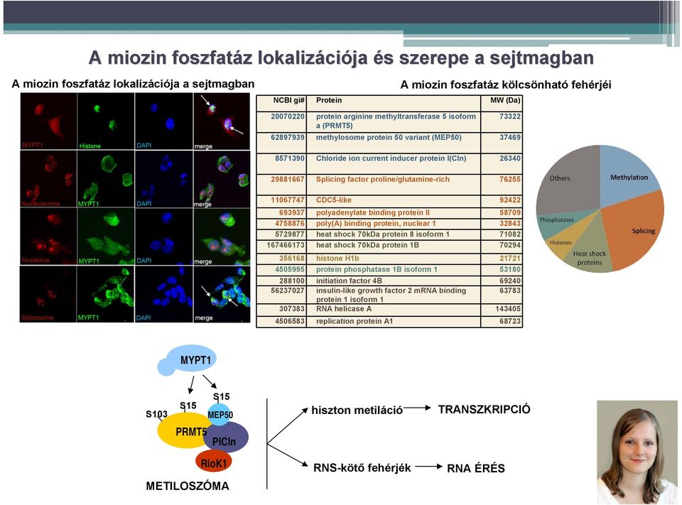 proline/glutamine-rich 76255 11067747 CDC5-like 92422 693937 polyadenylate binding protein II 58709 4758876 poly(a) binding protein, nuclear 1 32843 5729877 heat shock 70kDa protein 8 isoform 1 71082