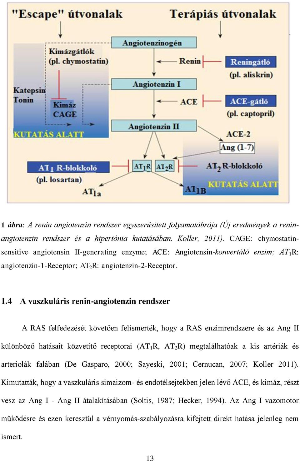 R: angiotenzin-1-receptor; AT 2 R: angiotenzin-2-receptor. 1.