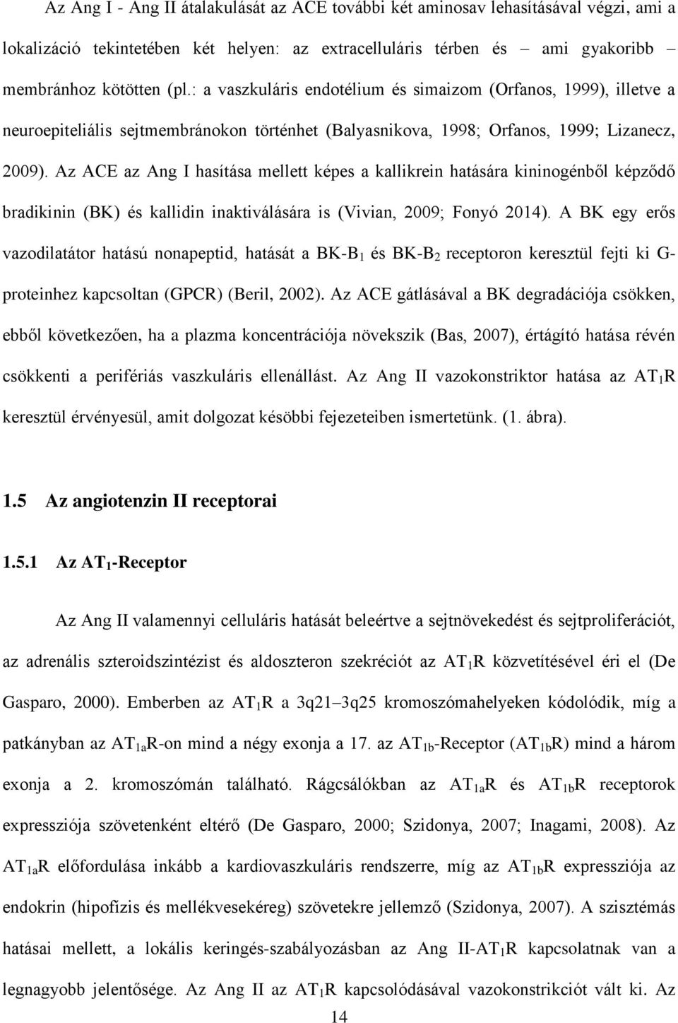 Az ACE az Ang I hasítása mellett képes a kallikrein hatására kininogénből képződő bradikinin (BK) és kallidin inaktiválására is (Vivian, 2009; Fonyó 2014).