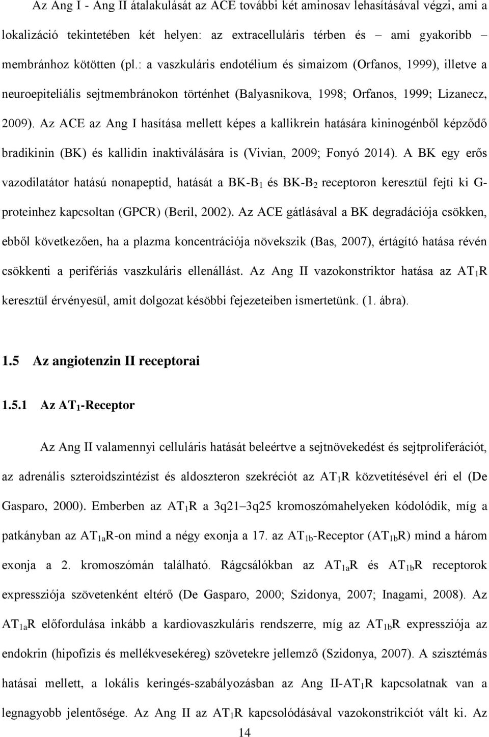 Az ACE az Ang I hasítása mellett képes a kallikrein hatására kininogénből képződő bradikinin (BK) és kallidin inaktiválására is (Vivian, 2009; Fonyó 2014).