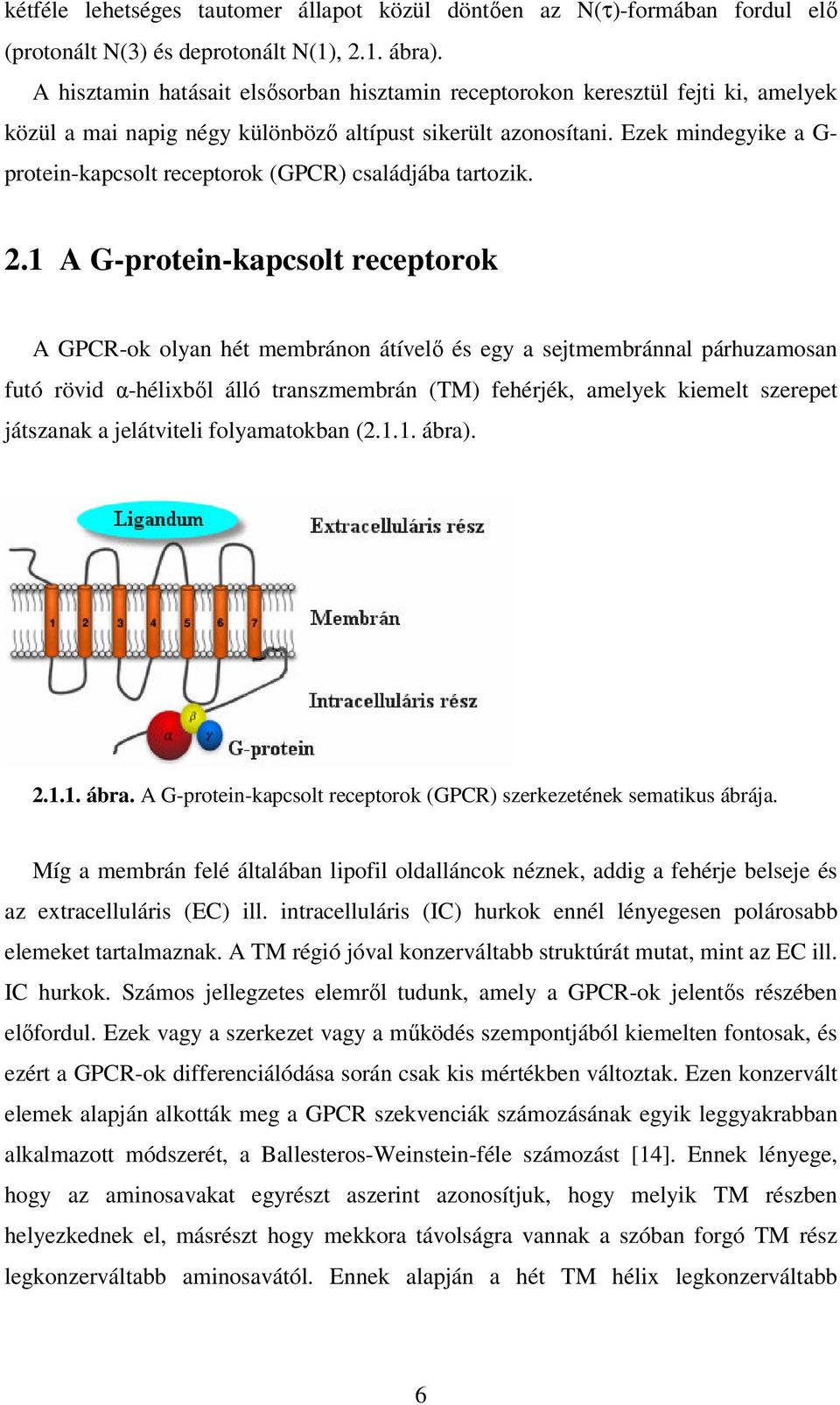 Ezek mindegyike a G- protein-kapcsolt receptorok (GPCR) családjába tartozik. 2.