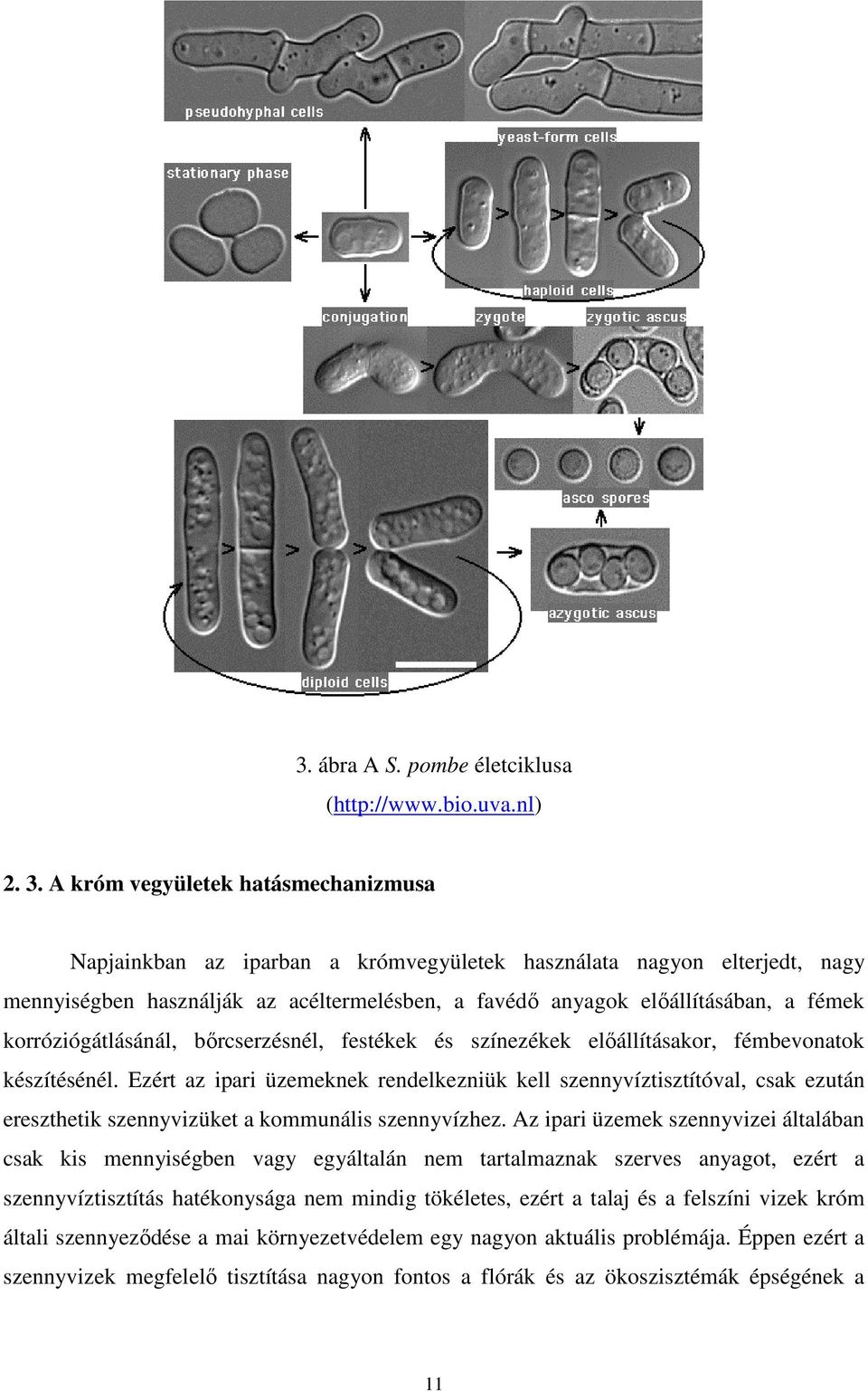 korróziógátlásánál, bőrcserzésnél, festékek és színezékek előállításakor, fémbevonatok készítésénél.