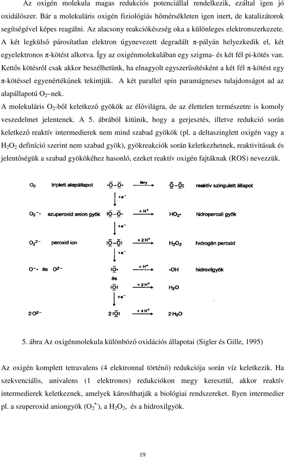 Így az oxigénmolekulában egy szigma- és két fél pi-kötés van. Kettős kötésről csak akkor beszélhetünk, ha elnagyolt egyszerűsítésként a két fél π-kötést egy π-kötéssel egyenértékűnek tekintjük.