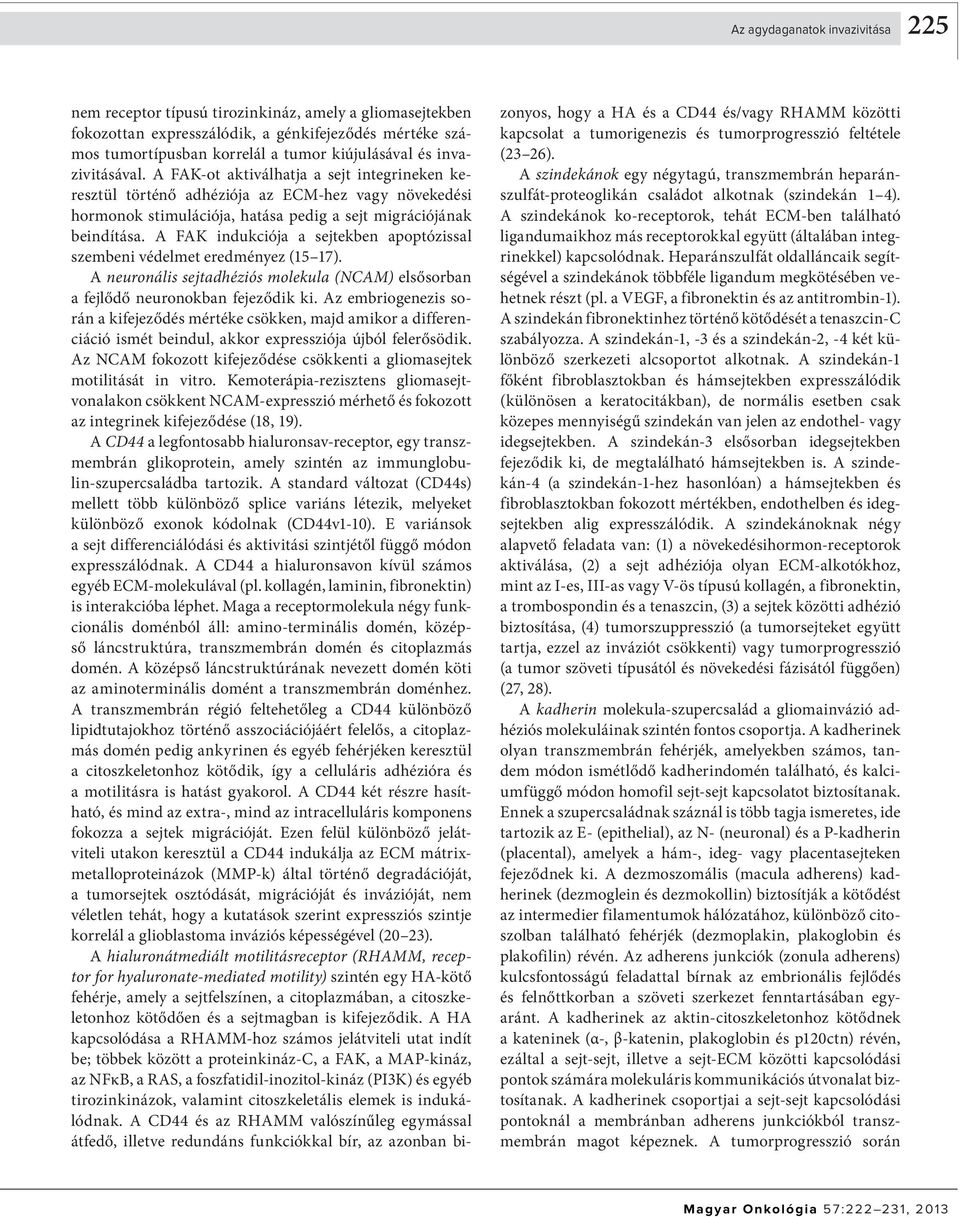 A FAK indukciója a sejtekben apoptózissal szembeni védelmet eredményez (15 17). A neuronális sejtadhéziós molekula (NCAM) elsősorban a fejlődő neuronokban fejeződik ki.