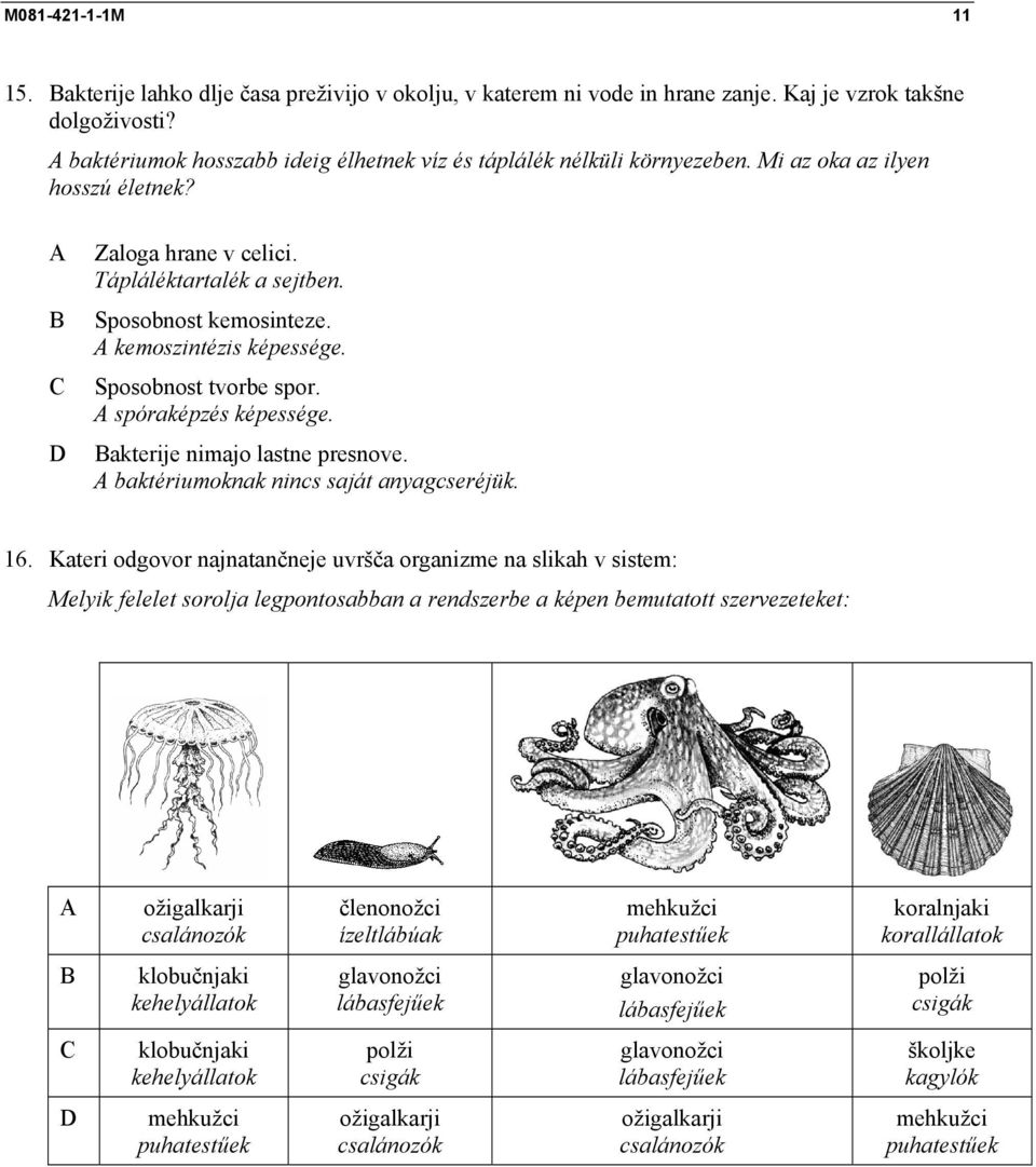 kemoszintézis képessége. Sposobnost tvorbe spor. spóraképzés képessége. akterije nimajo lastne presnove. baktériumoknak nincs saját anyagcseréjük. 16.