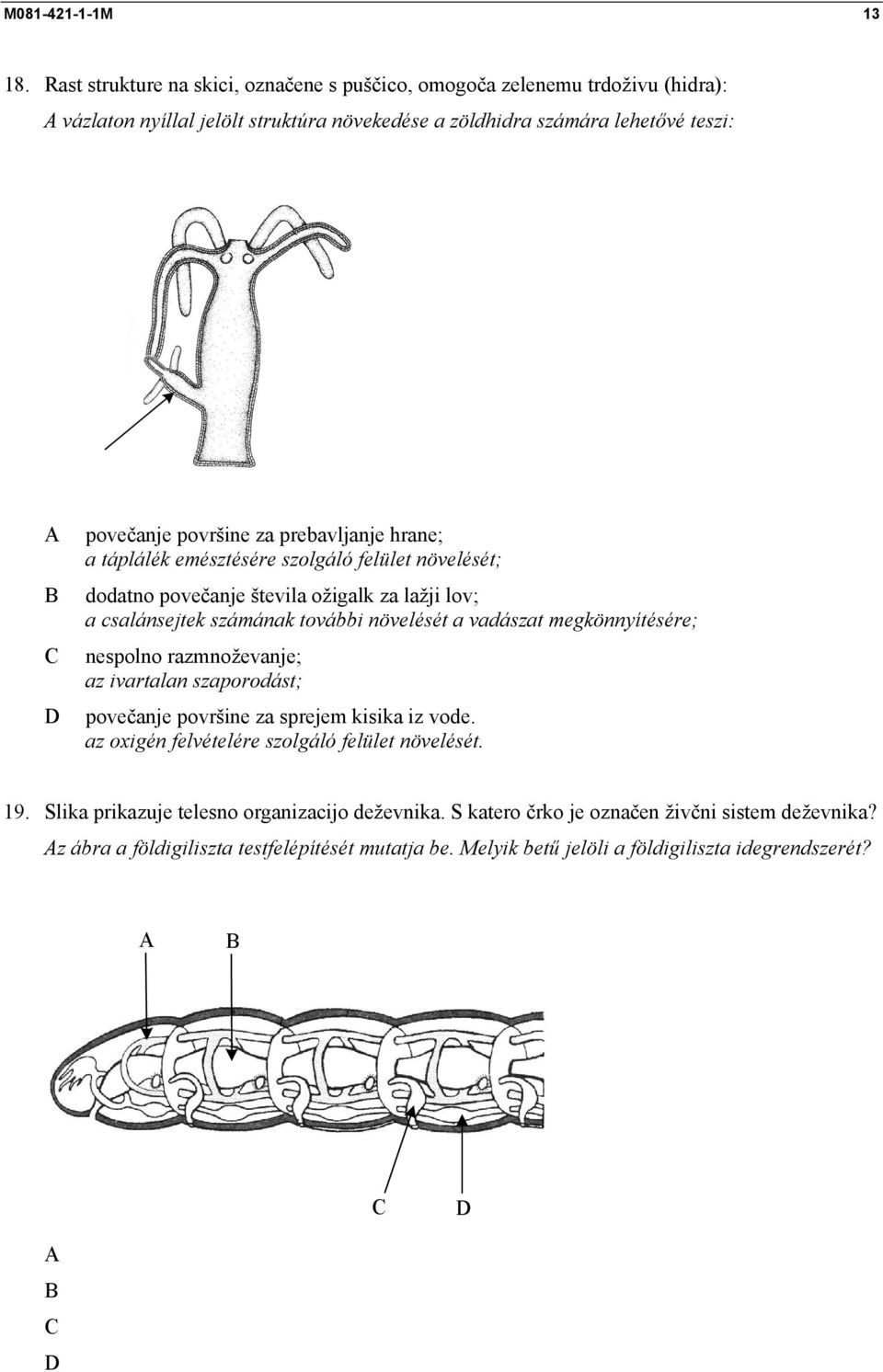 prebavljanje hrane; a táplálék emésztésére szolgáló felület növelését; dodatno povečanje števila ožigalk za lažji lov; a csalánsejtek számának további növelését a vadászat