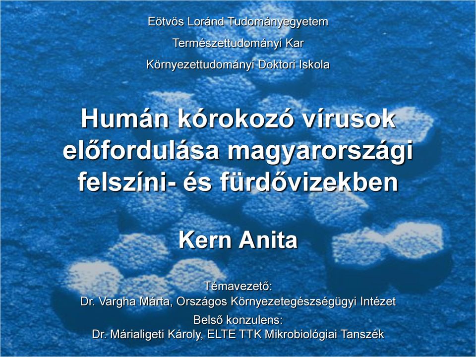 fürdővizekben Kern nita Témavezető: Dr.