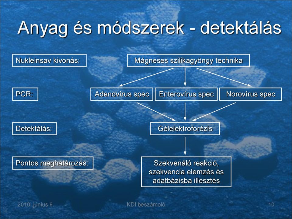 spec Detektálás: Gélelektroforézis Pontos meghatározás: Szekvenáló