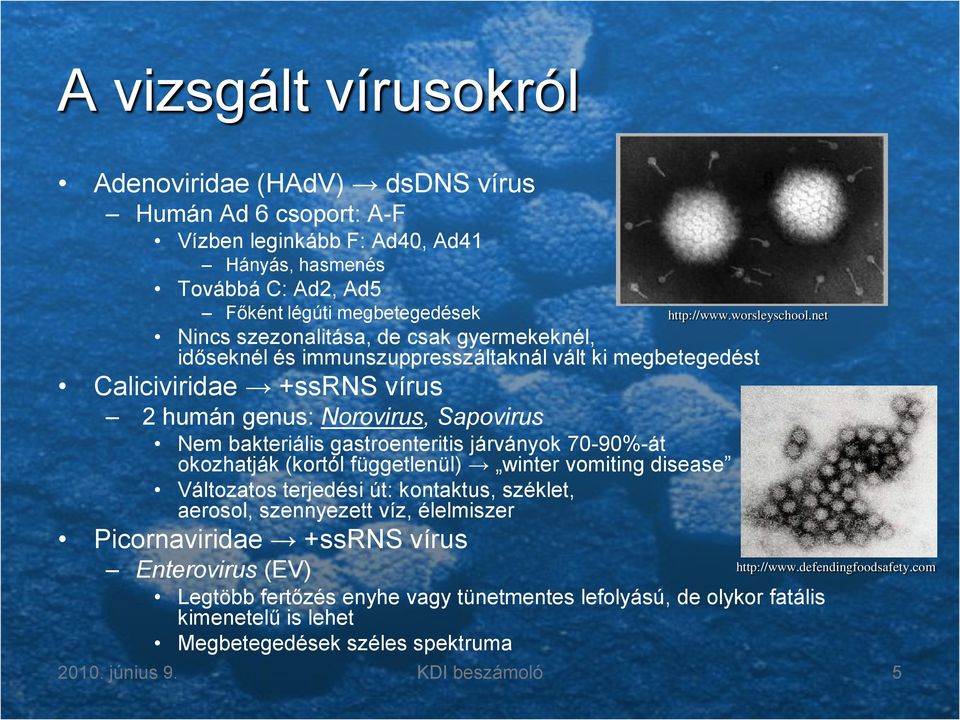 okozhatják (kortól függetlenül) winter vomiting disease Változatos terjedési út: kontaktus, széklet, aerosol, szennyezett víz, élelmiszer Picornaviridae +ssrs vírus http://www.worsleyschool.