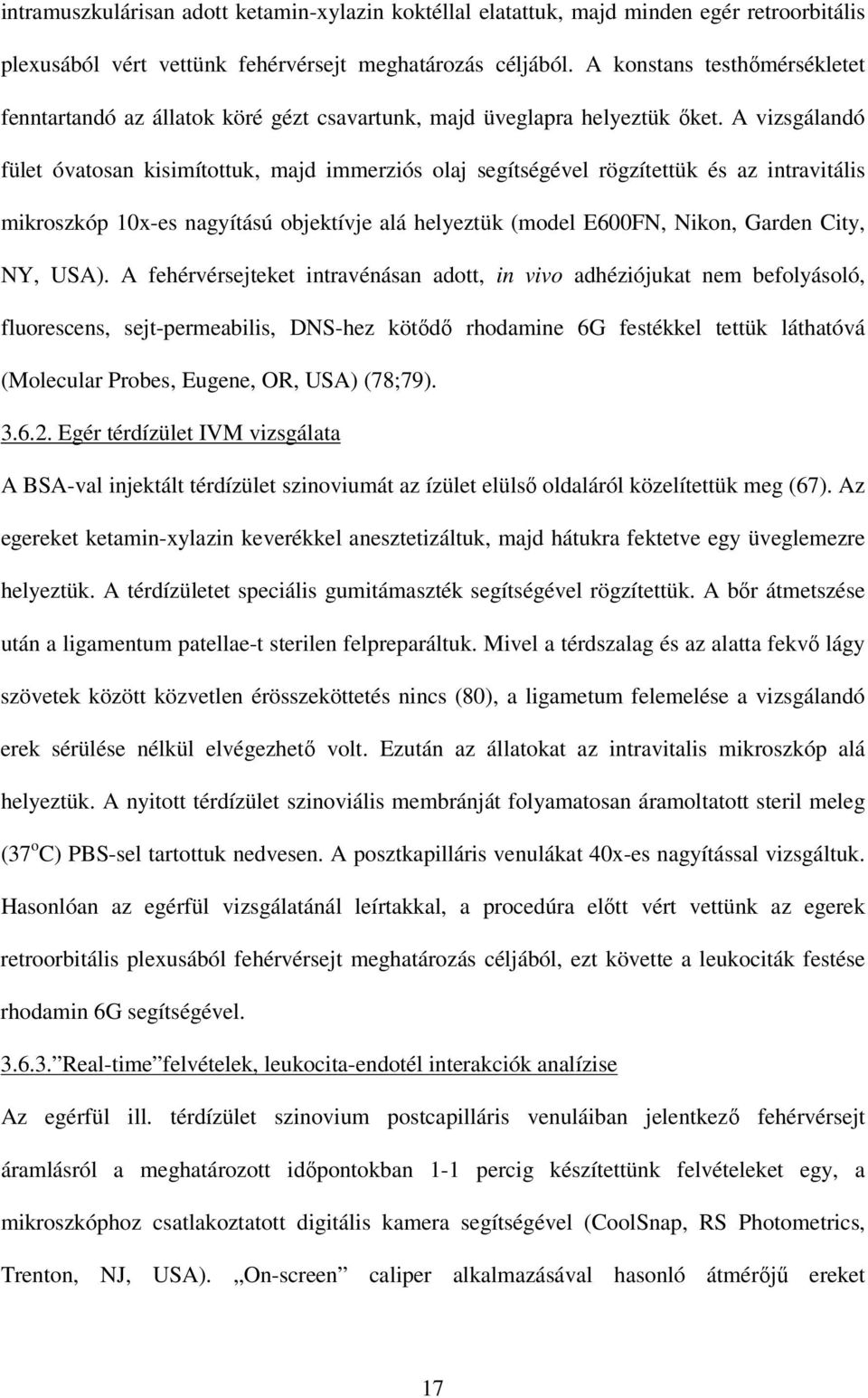 A vizsgálandó fület óvatosan kisimítottuk, majd immerziós olaj segítségével rögzítettük és az intravitális mikroszkóp 10x-es nagyítású objektívje alá helyeztük (model E600FN, Nikon, Garden City, NY,