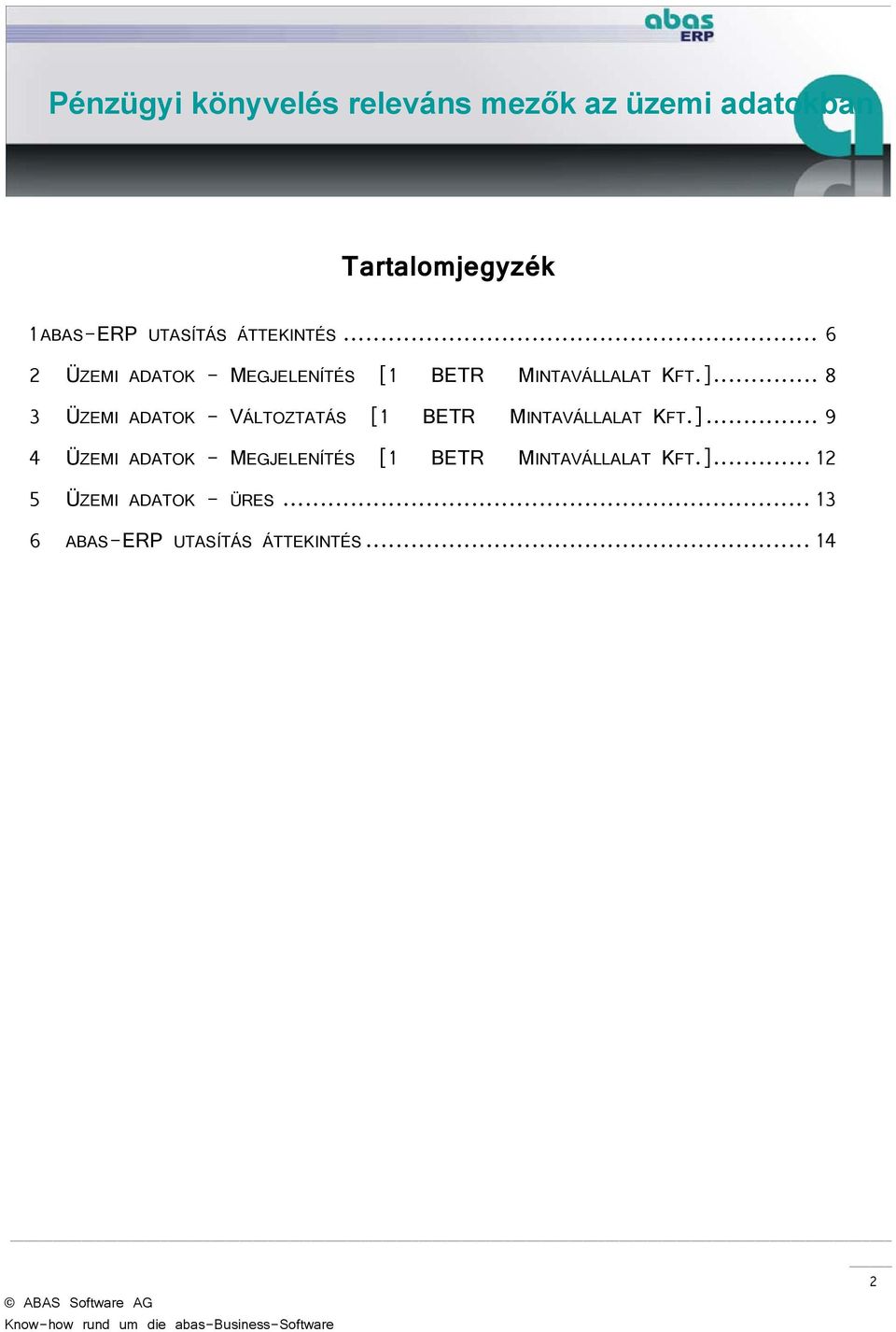 .. 8 3 ÜZEMI ADATOK - VÁLTOZTATÁS [1 BETR MINTAVÁLLALAT KFT.].