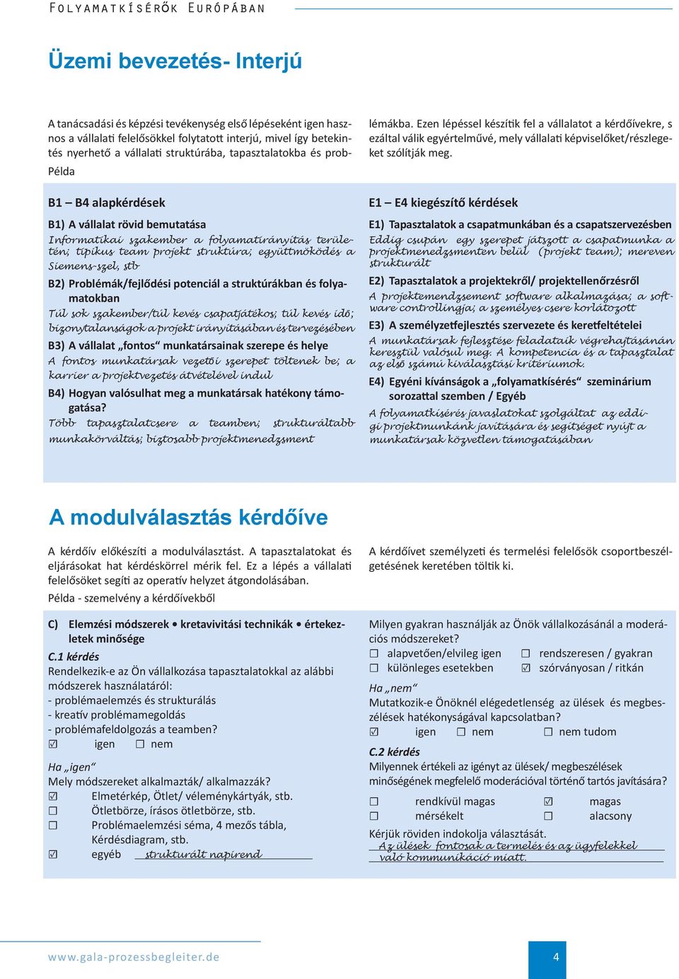 stb B2) Problémák/fejlődési potenciál a struktúrákban és folyamatokban Túl sok szakember/túl kevés csapatjátékos; túl kevés idő; bizonytalanságok a projekt irányításában és tervezésében B3) A