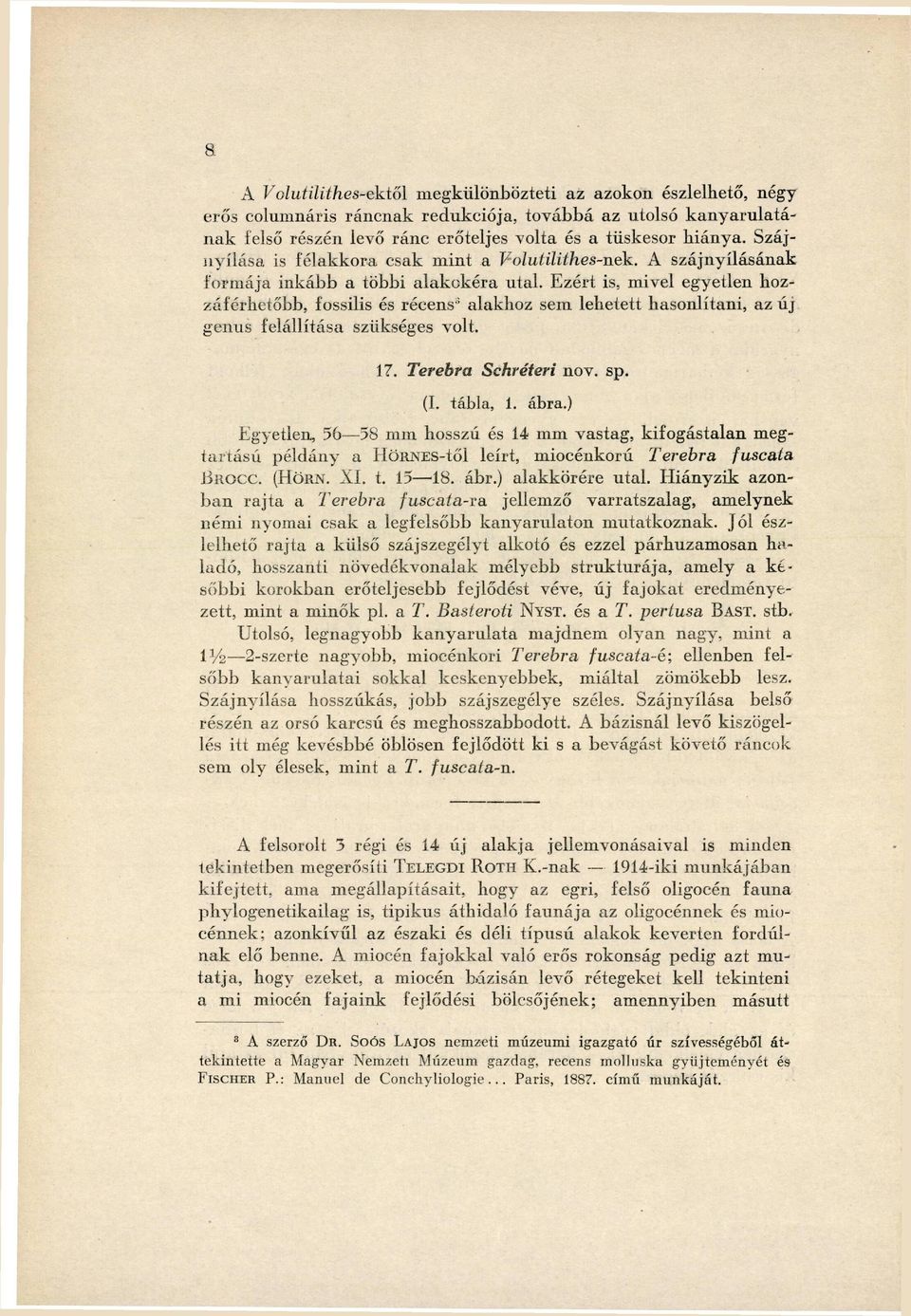 Ezért is, mivel egyetlen hoz záférhetőbb, fossilis és récens alakhoz sem lehetett hasonlítani, az új genus felállítása szükséges volt. 5 17. Terebra Schréteri nov. sp. (I. tábla, 1. ábra.