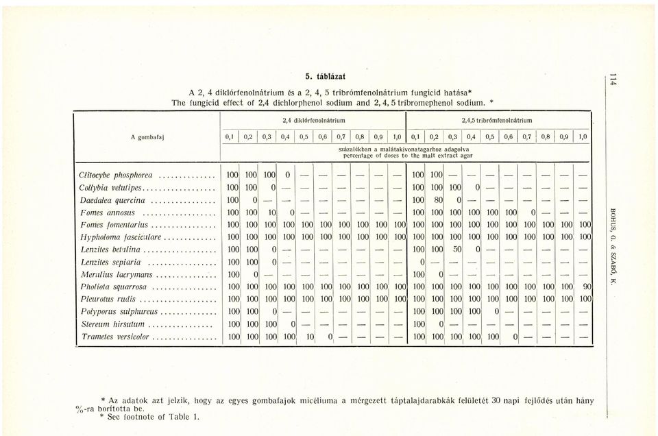 0 0,1 0,2 0,3 0,4 0,5 0,6 0,7 0,8 0,9 1,0 százalékban a malátakivonatagarhoz adagolva percentage of doses to the malt extract agar Clitocybe phosphorea 100 100 100 0 -.